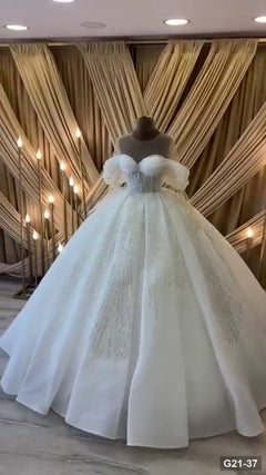 G21-037 Marfil Vestido princesa Vestido de novia Principal Clean Frame