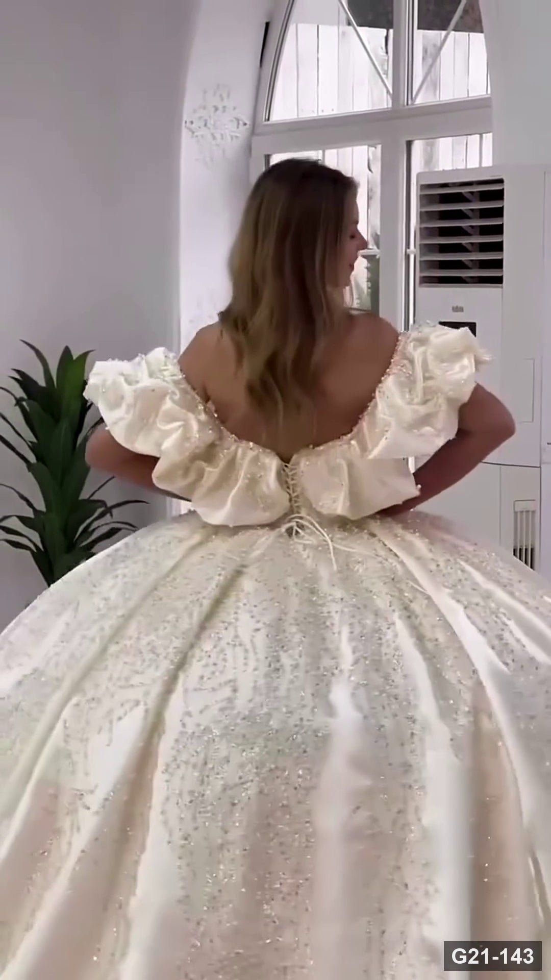 G21-143 Marfil Vestido princesa Vestido de novia Principal Clean Frame
