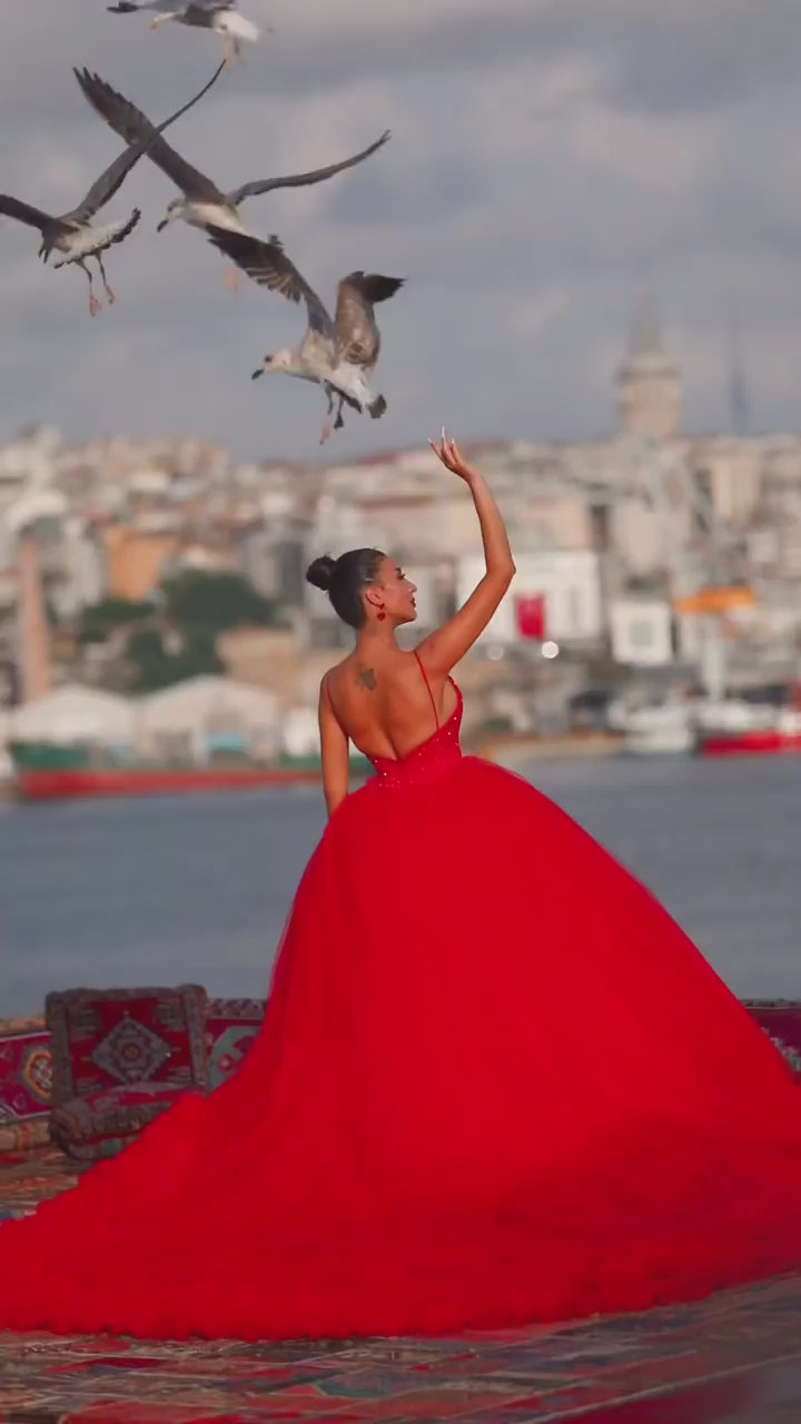 G21-142A - Vestido de novia princesa elegante carmesí